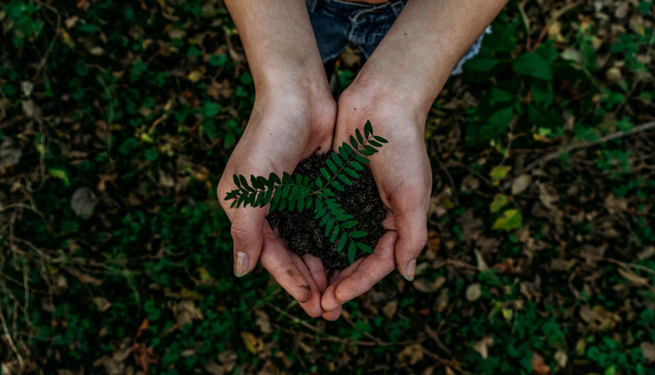 With "Green Patents", BPTO accelerates approval of "sustainable inventions"