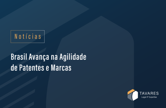 Brasil propriedade industrial