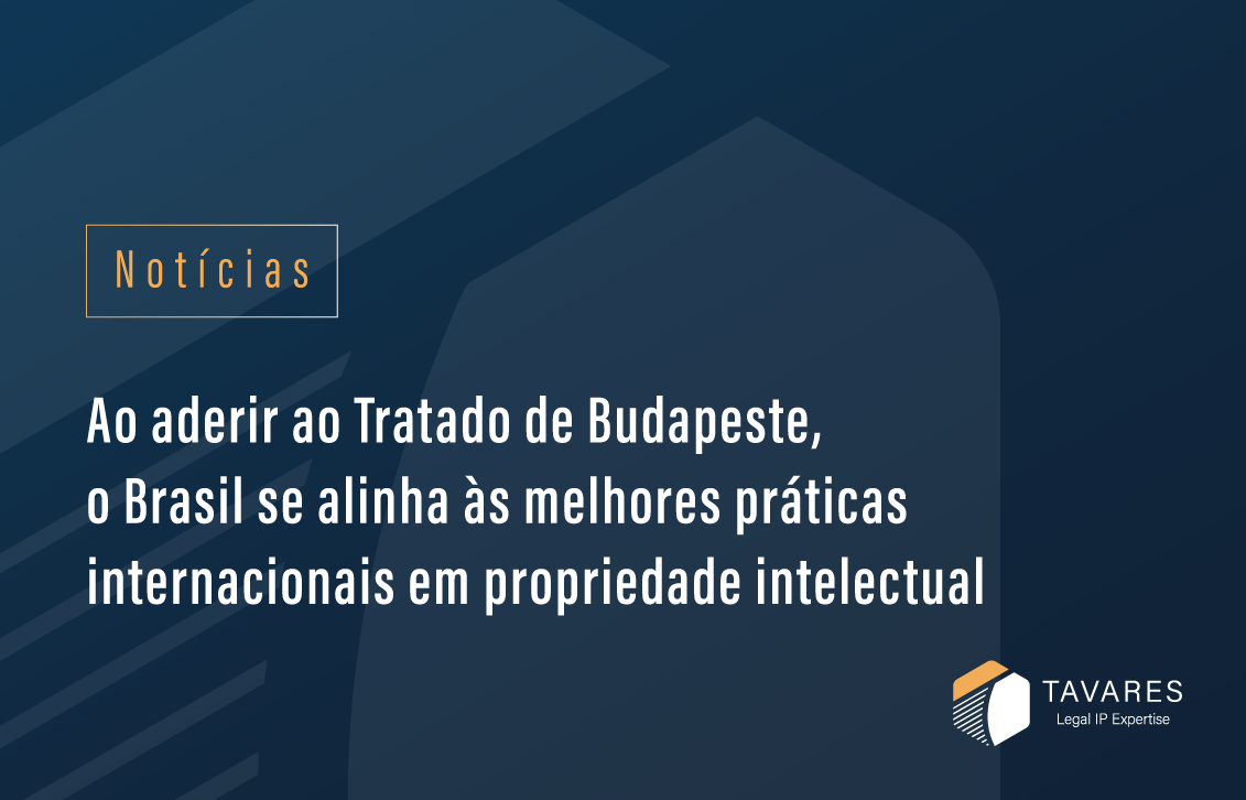 Ao aderir ao Tratado de Budapeste, o Brasil se alinha às melhores práticas internacionais em propriedade intelectual