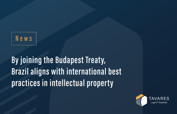 By Joining the Budapest Treaty, Brazil Aligns with International Best Practices in Intellectual Property