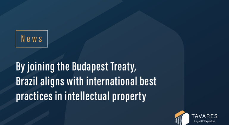 By Joining the Budapest Treaty, Brazil Aligns with International Best Practices in Intellectual Property