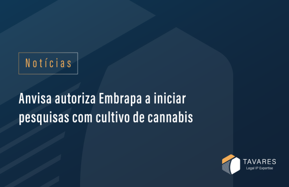 Anvisa autoriza Embrapa a iniciar pesquisas com cultivo de cannabis