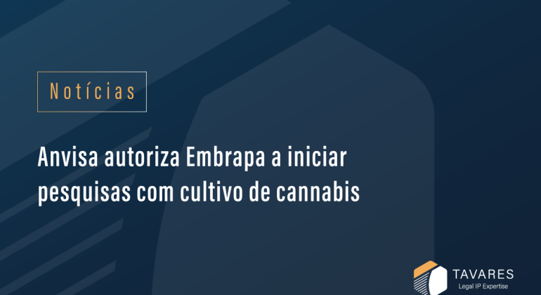 Anvisa autoriza Embrapa a iniciar pesquisas com cultivo de cannabis