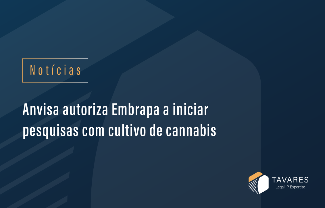 Anvisa autoriza Embrapa a iniciar pesquisas com cultivo de cannabis