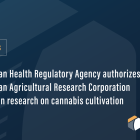 Brazilian Health Regulatory Agency Authorizes Brazilian Agricultural Research Corporation to Begin Research on Cannabis Cultivation