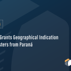 Brazil Grants Geographical Indication for Oysters from Paraná