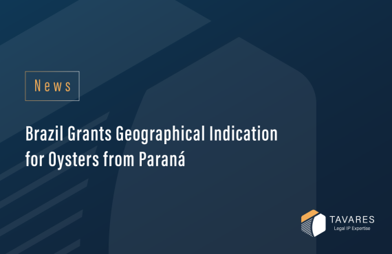 Brazil Grants Geographical Indication for Oysters from Paraná