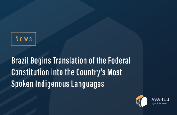 Brazil Begins Translation of the Federal Constitution into the Country’s Most Spoken Indigenous Languages
