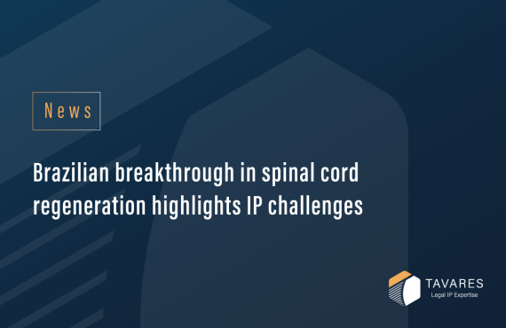 Brazilian breakthrough in spinal cord regeneration highlights IP challenges