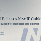 Brazil Releases New IP Guides: Strategic Support for Businesses and Exporters