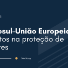 Mercosul–União Europeia: impactos na proteção de patentes