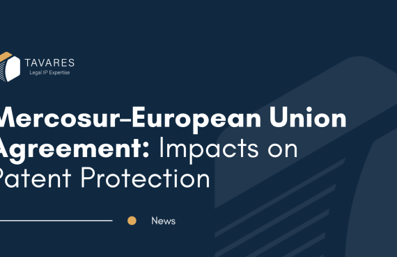 Mercosur–European Union Agreement: Impacts on Patent Protection