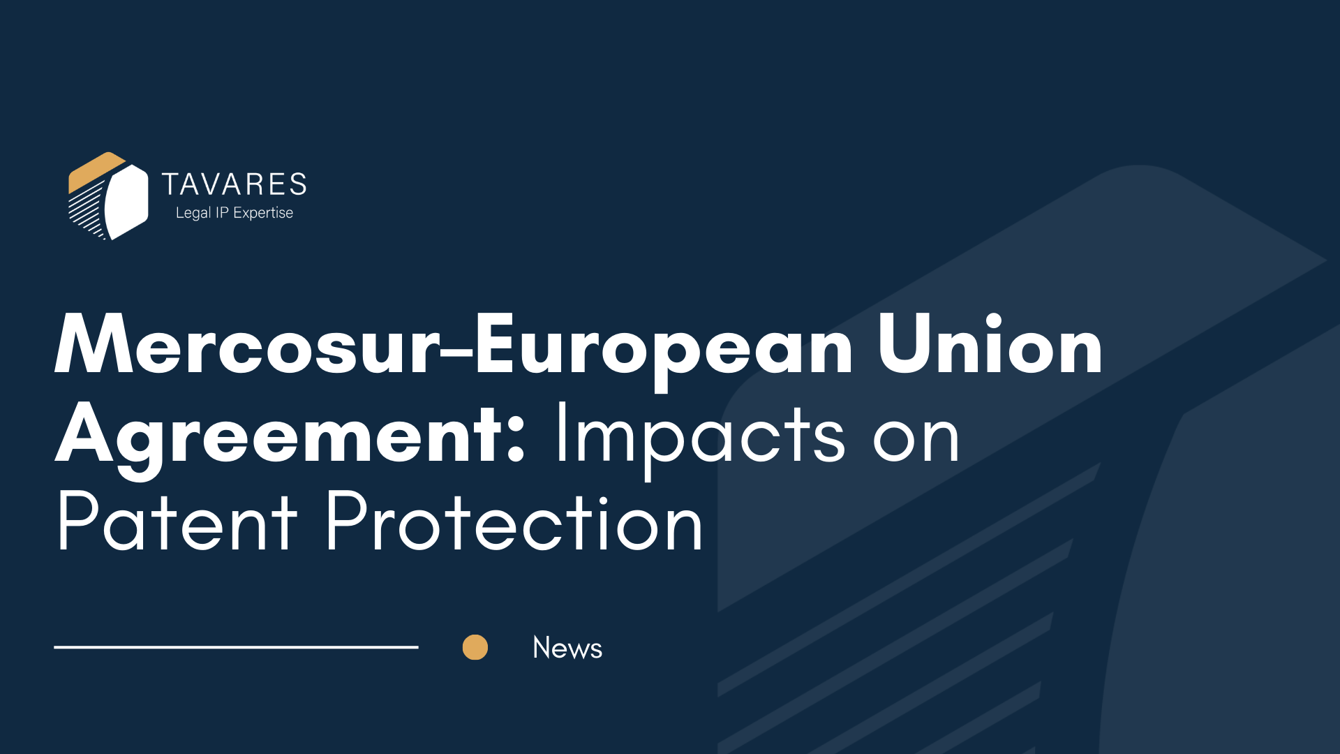 Mercosur–European Union Agreement: Impacts on Patent Protection