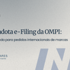 INPI adota e-Filing da OMPI: o que muda para pedidos internacionais de marcas