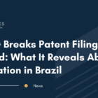 UFMG Breaks Patent Filing Record: What It Reveals About Innovation in Brazil