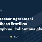 Geographical Indications