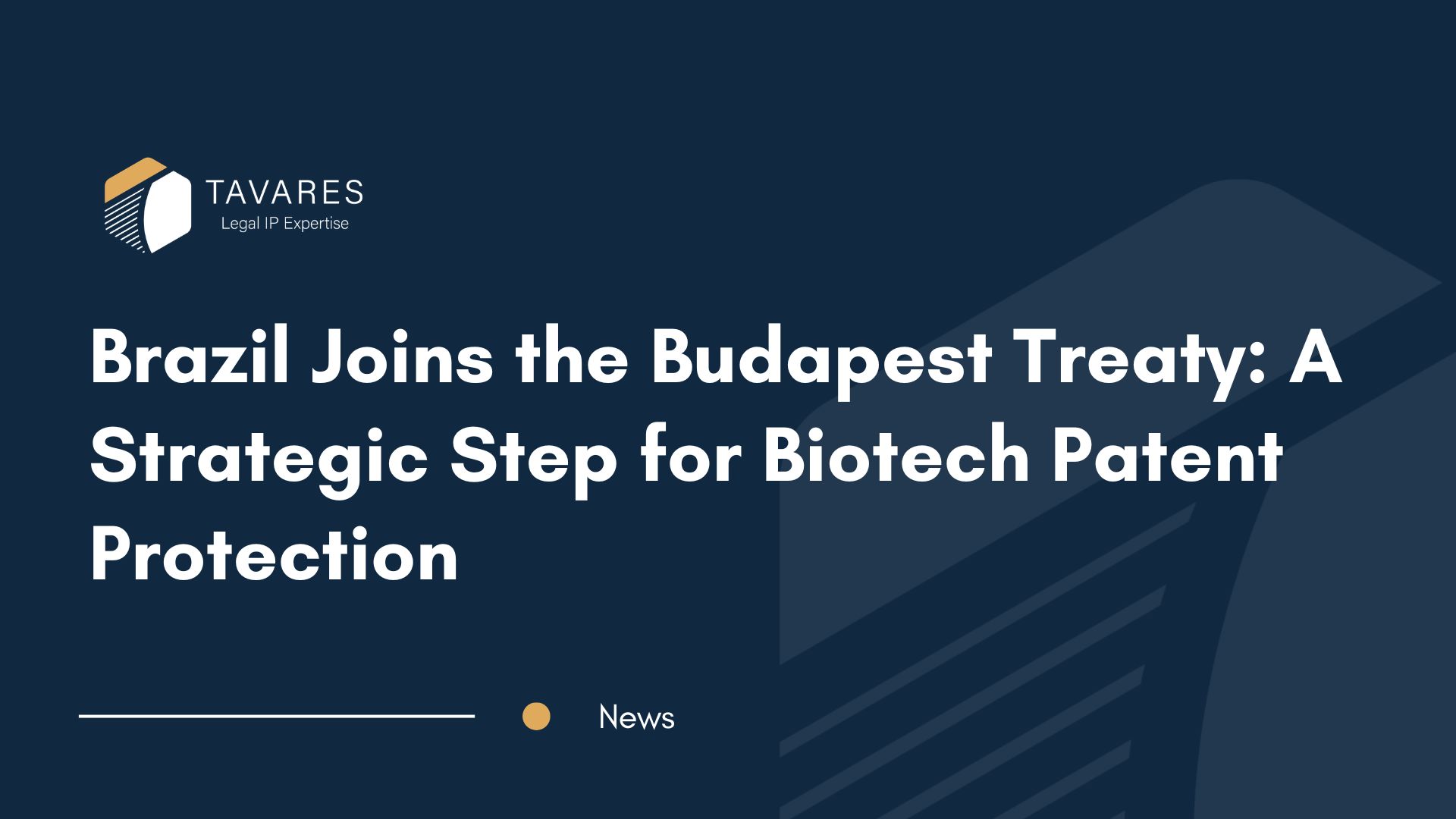 Brazil Joins the Budapest Treaty: A Strategic Step for Biotech Patent Protection