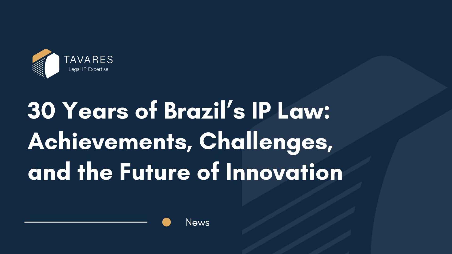30 Years of Brazil’s IP Law: Achievements, Challenges, and the Future of Innovation