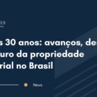 LPI aos 30 anos: avanços, desafios e o futuro da propriedade industrial no Brasil