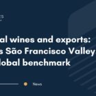 Tropical wines and exports: Brazil’s São Francisco Valley as a global benchmark