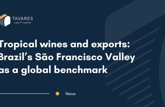 Tropical wines and exports: Brazil’s São Francisco Valley as a global benchmark