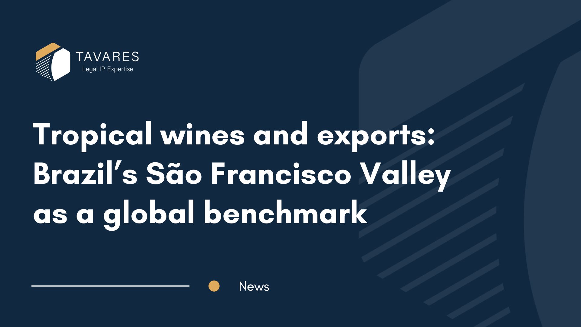 Tropical wines and exports: Brazil’s São Francisco Valley as a global benchmark