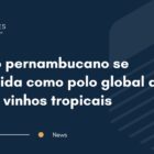 Sertão pernambucano se consolida como polo global de uvas e vinhos tropicais