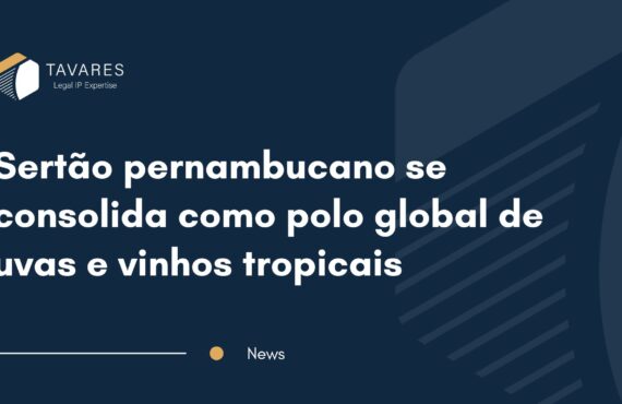 Sertão pernambucano se consolida como polo global de uvas e vinhos tropicais