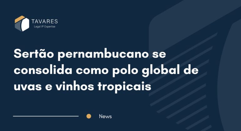 Sertão pernambucano se consolida como polo global de uvas e vinhos tropicais