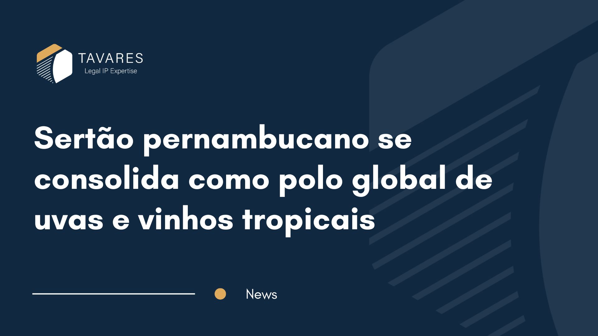 Sertão pernambucano se consolida como polo global de uvas e vinhos tropicais