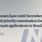 Businesses have until December to request priority examination for trademark applications in Brazil