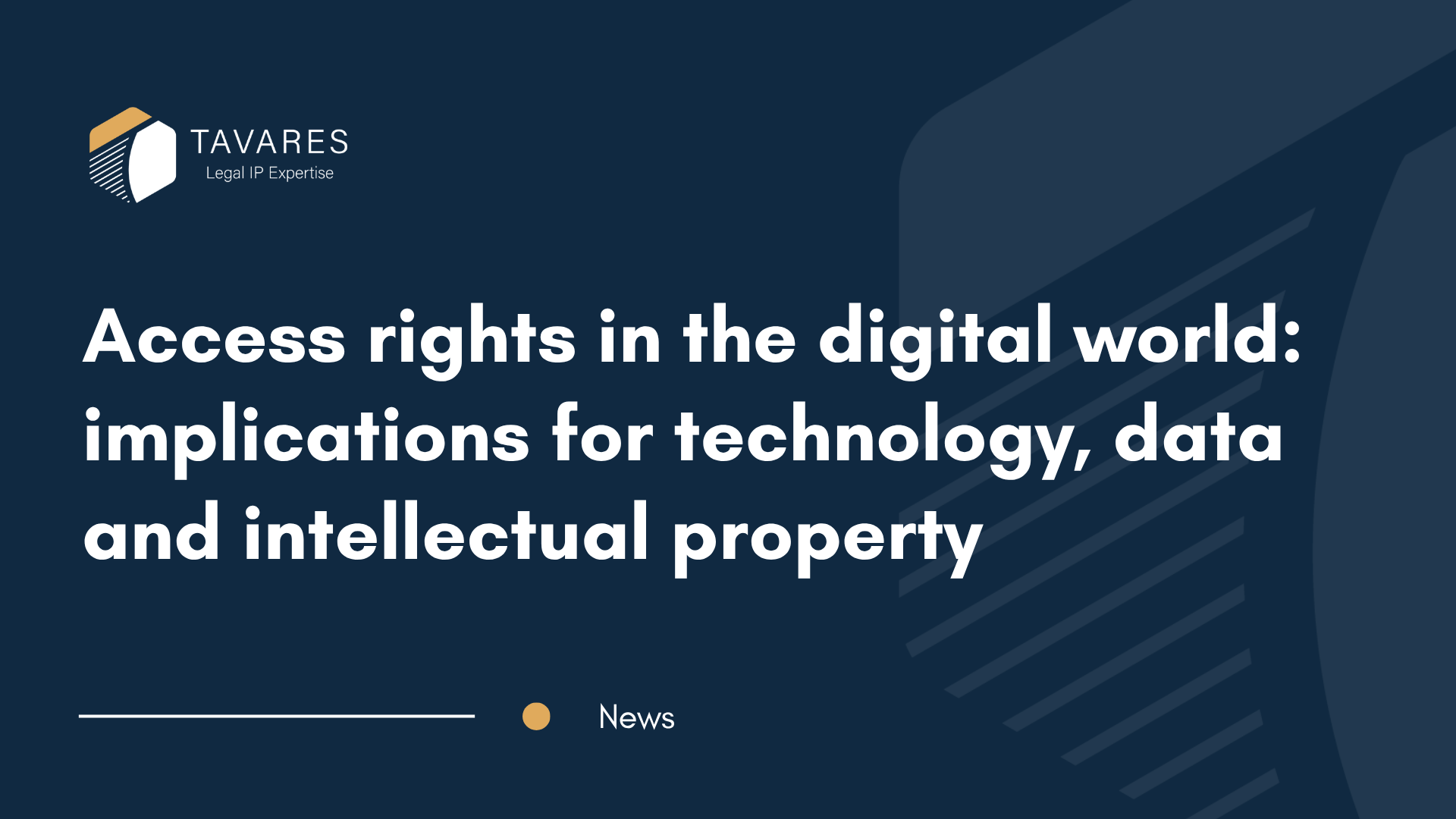 Access rights in the digital world expand the debate on data, technology and innovation